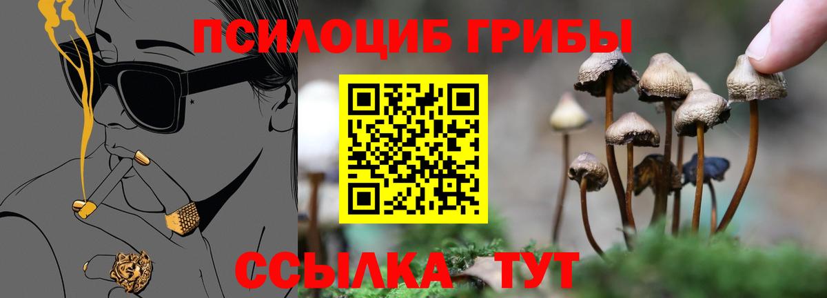 Галлюциногенные грибы мицелий  Псилоцибиновые грибы ЛСД  Кашира  Вход с VPN 